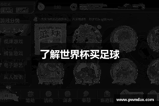 了解世界杯买足球